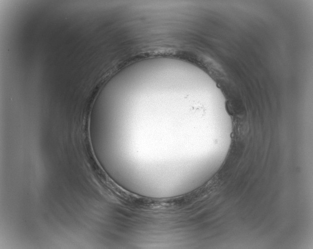 X0000071760550200606300918