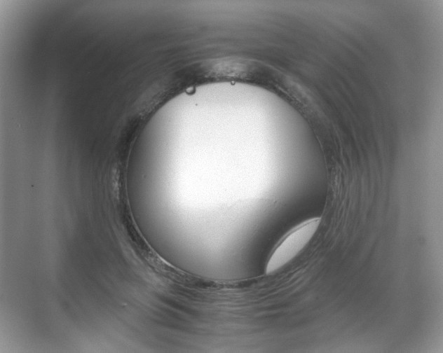 X0000071760551200606300918