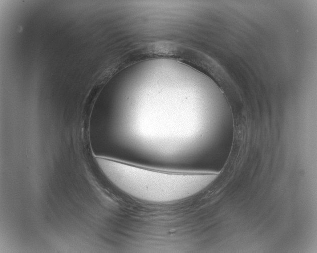 X0000071760552200606300918