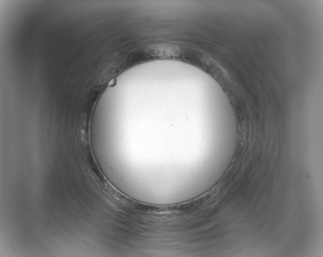 X0000071760553200606300919