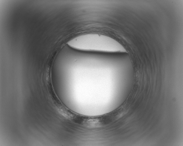 X0000071760554200606300919