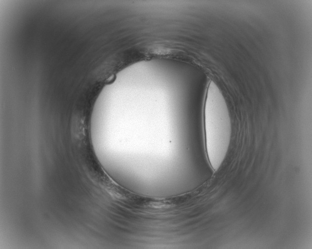 X0000071760555200606300919