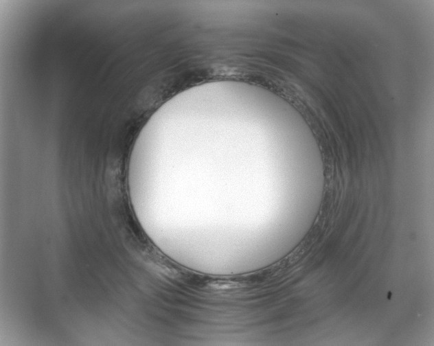 X0000071760557200606300919