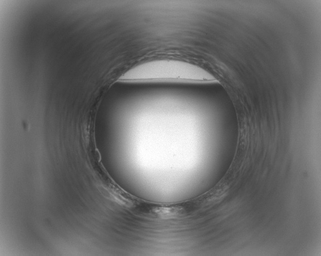 X0000071760558200606300919