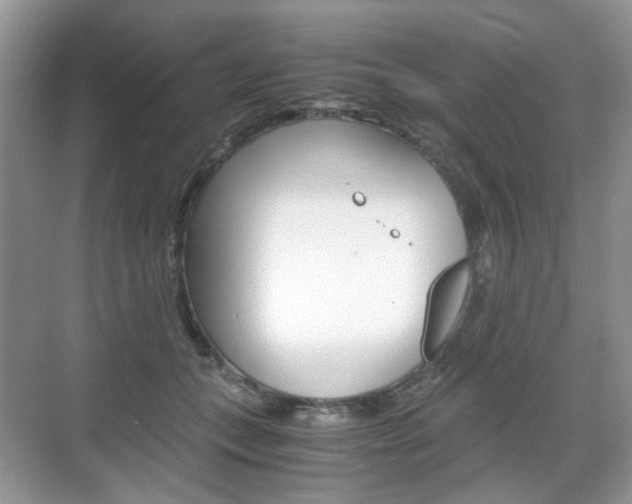 X0000071760559200606300919