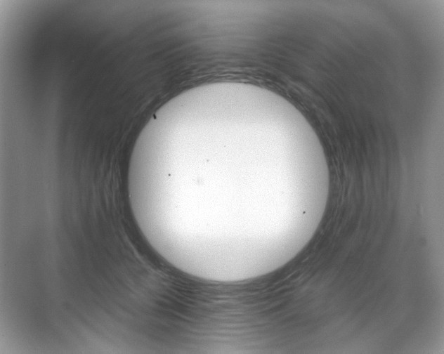 X0000071760560200606300919