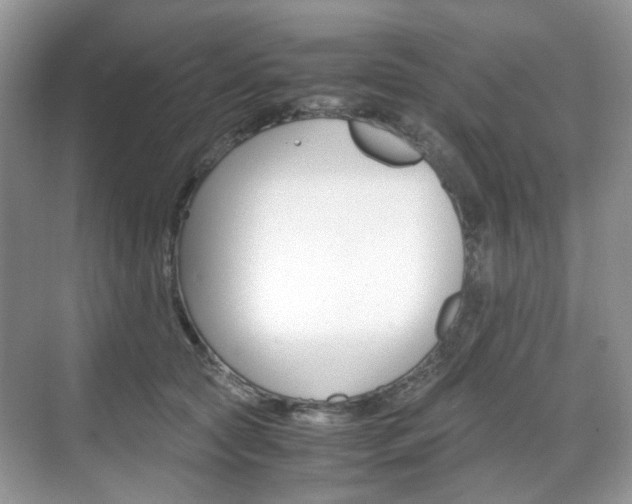 X0000071760561200606300919