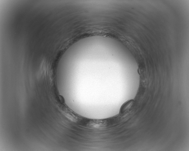 X0000071760563200606300919