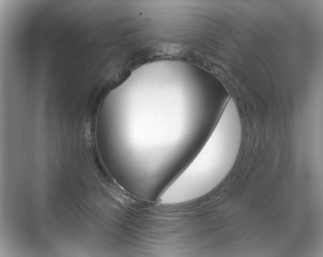 X0000071760564200606300919