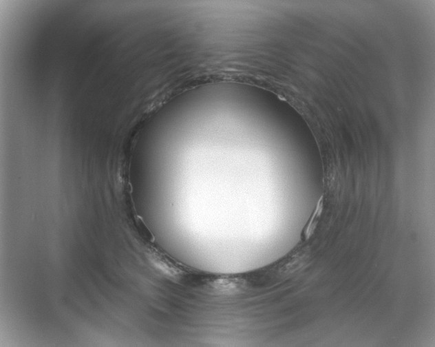 X0000071760566200606300919