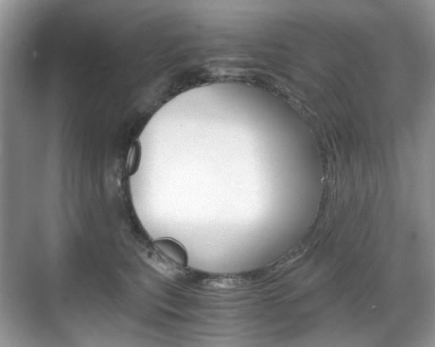 X0000071760567200606300919