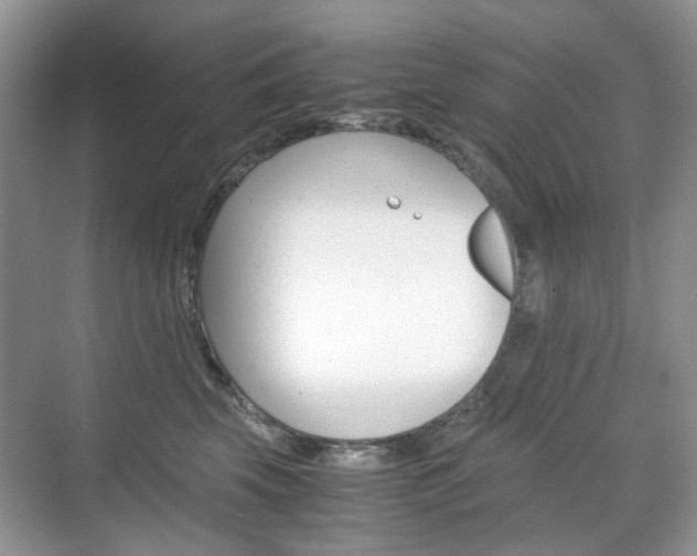 X0000071760569200606300919