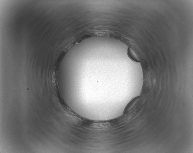 X0000071760571200606300919