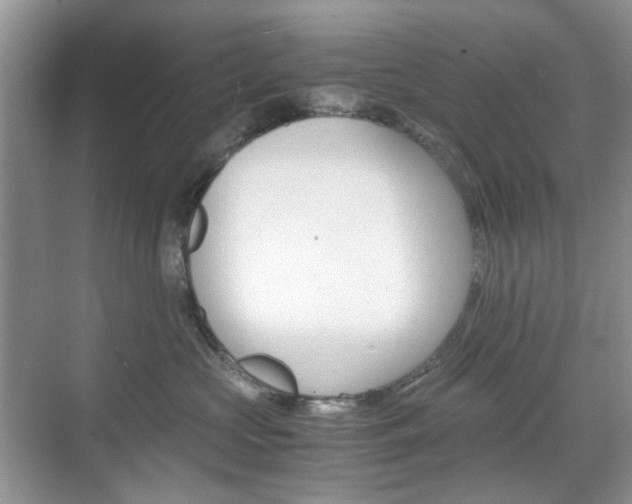 X0000071760573200606300919