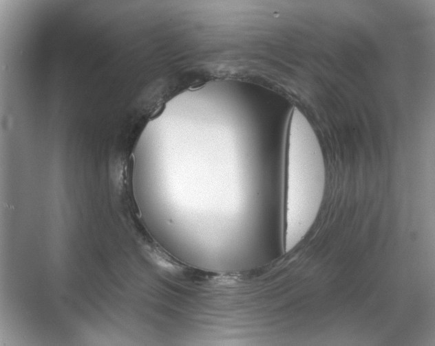 X0000071760574200606300919