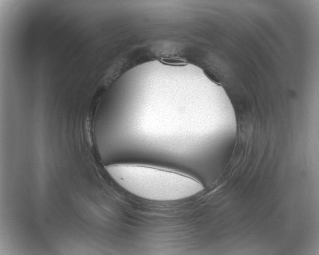 X0000071760575200606300919