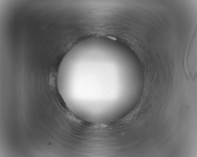 X0000071760576200606300919