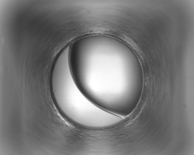 X0000071760577200606300918