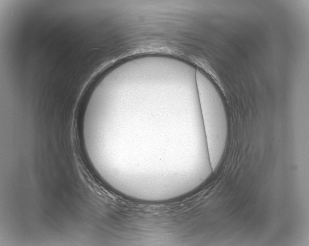 X0000071760579200606300918