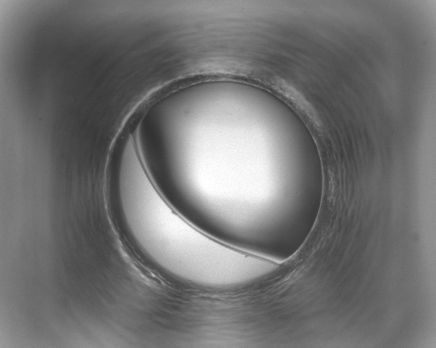 X0000071760580200606300918