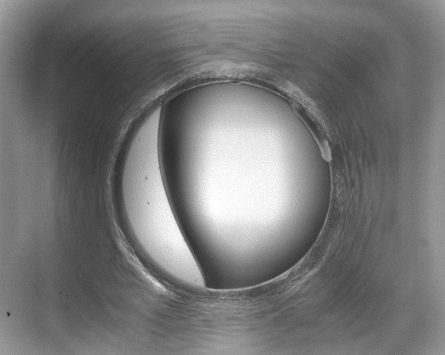 X0000071760581200606300918