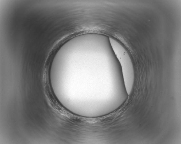 X0000071760583200606300918