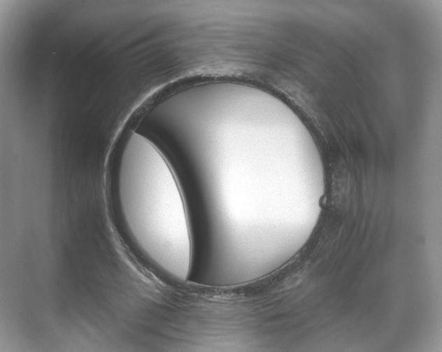 X0000071760584200606300918