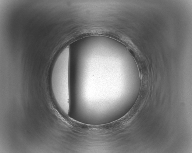 X0000071760585200606300918