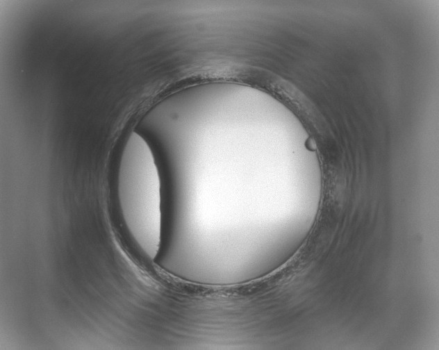 X0000071760586200606300918