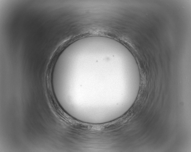 X0000071760587200606300918