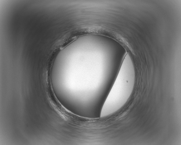 X0000071760589200606300918