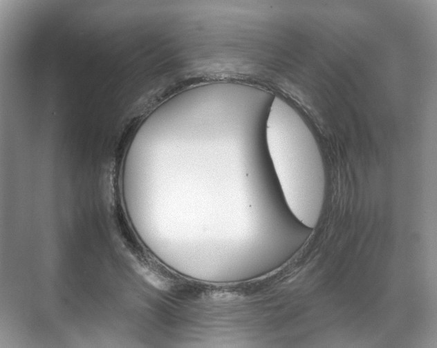 X0000071760590200606300918