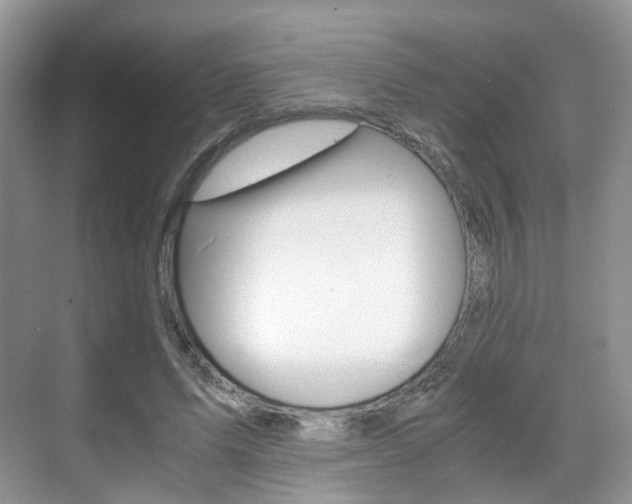 X0000071760591200606300918