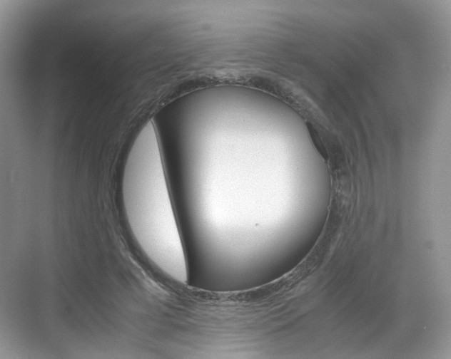 X0000071760593200606300918