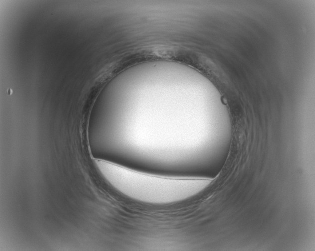 X0000071760595200606300918