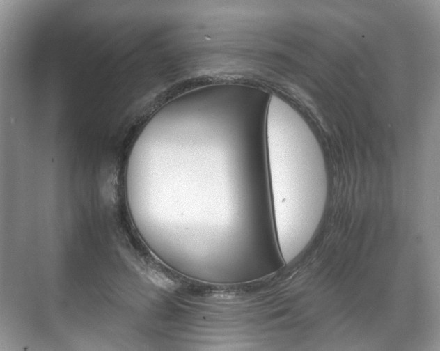 X0000071760596200606300918