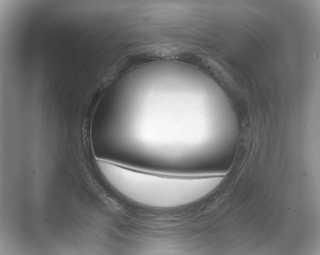 X0000071760597200606300918