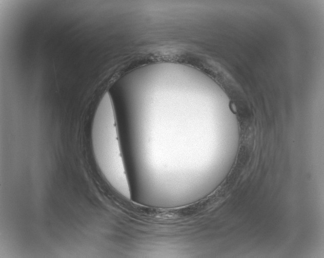 X0000071760599200606300918