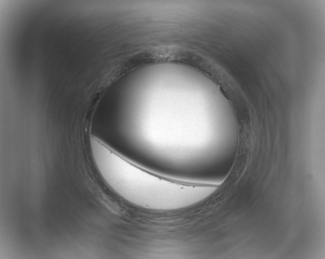 X0000071760601200606300918