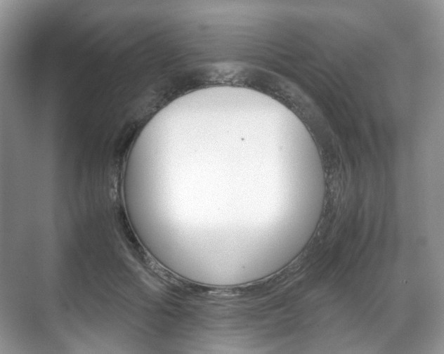 X0000071760602200606300918