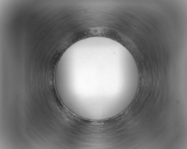 X0000071760606200606300918