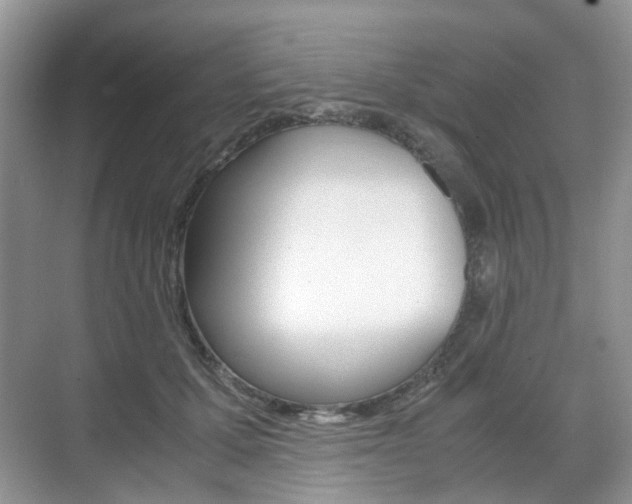 X0000071760607200606300918