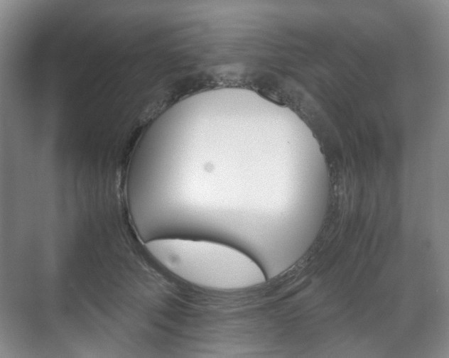 X0000071760610200606300918