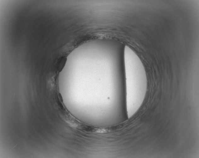 X0000071760611200606300918