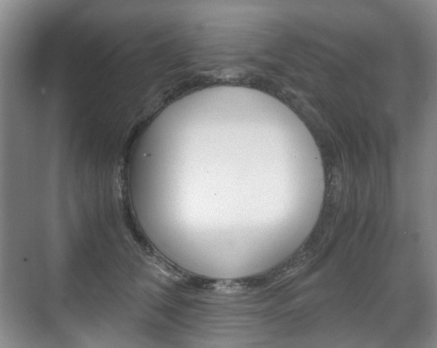 X0000071760612200606300918