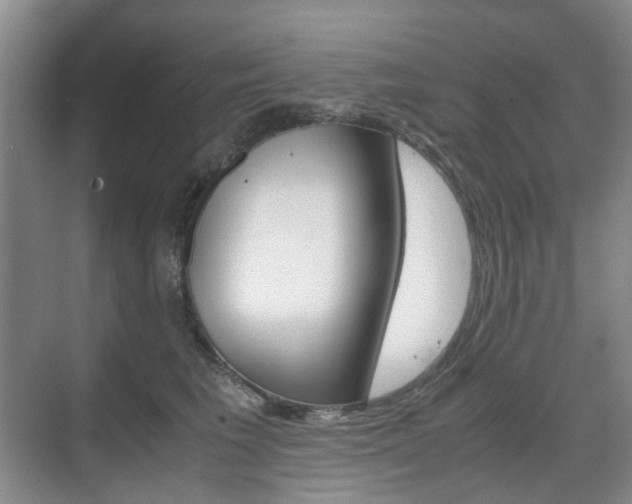 X0000071760613200606300917