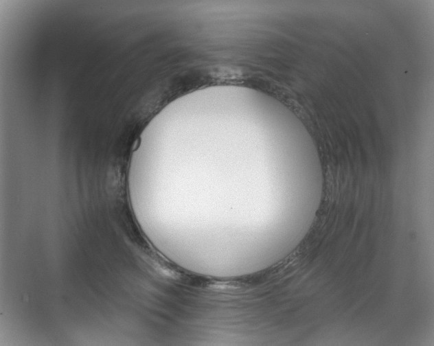 X0000071760614200606300917