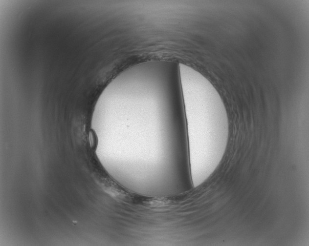 X0000071760615200606300917