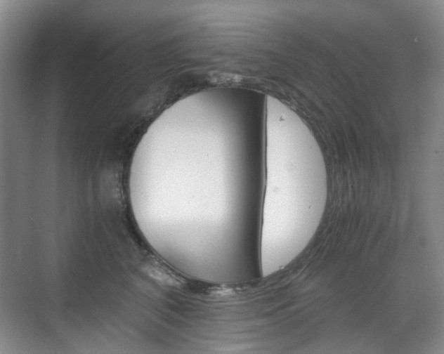 X0000071760616200606300917