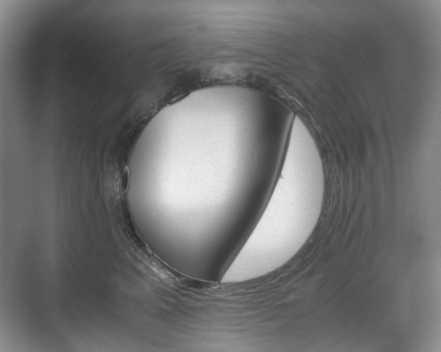 X0000071760617200606300917